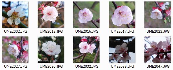 UME_TEST