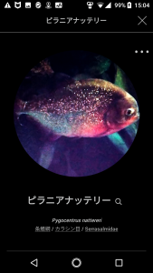 FISH01-1