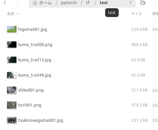 実行前ディレクトリ