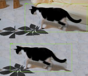 result_test0010