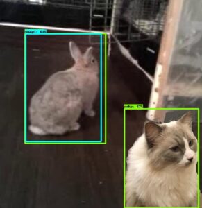 result_test0020