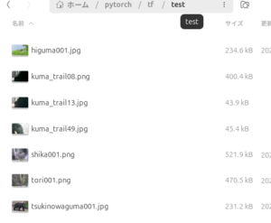 実行前ディレクトリ